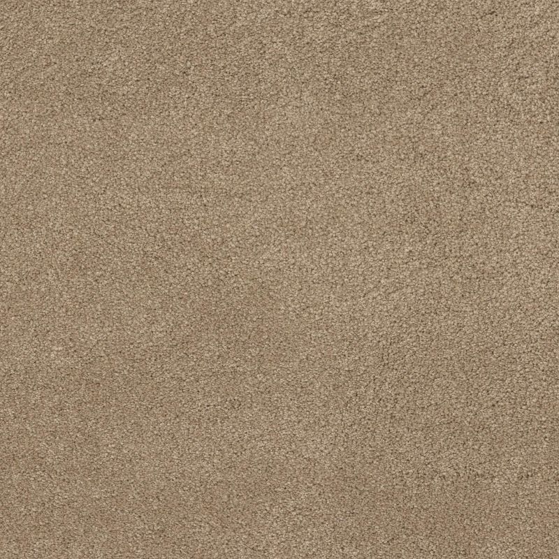 Shaw Floors Value Collections Cashmere Classic 4 Net Pecan Bark