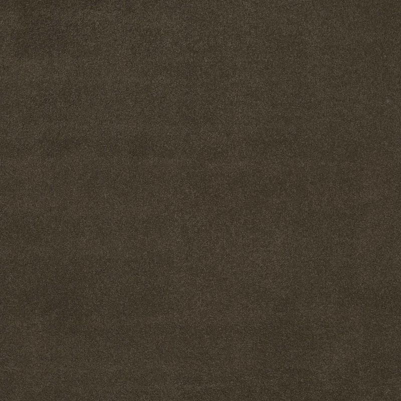 Shaw Floors Value Collections Cashmere Classic 4 Net Chestnut