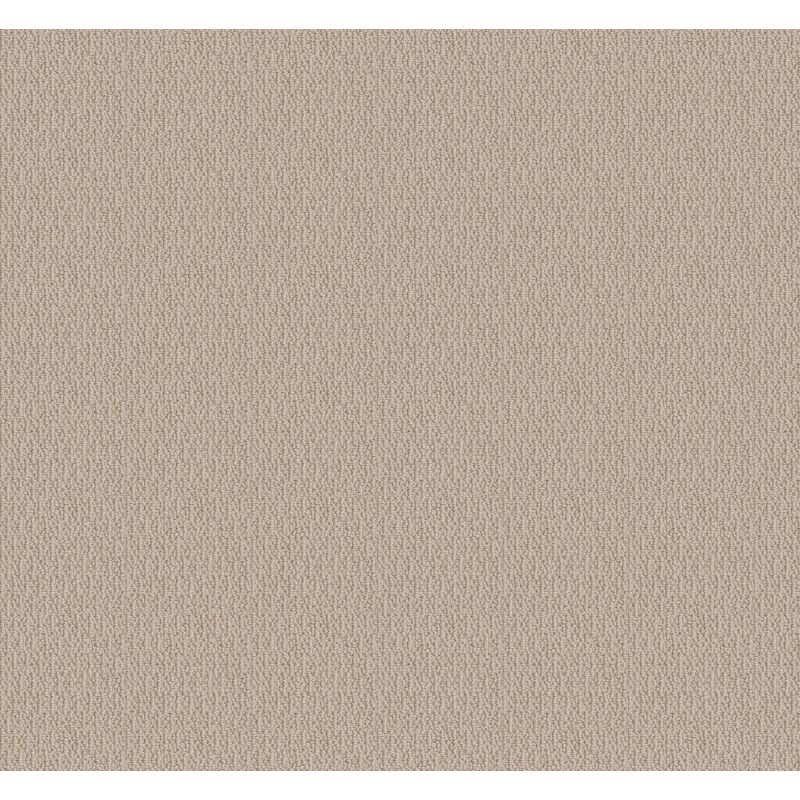 Shaw Floors Simply The Best Loop De Loop Net Natural Wood