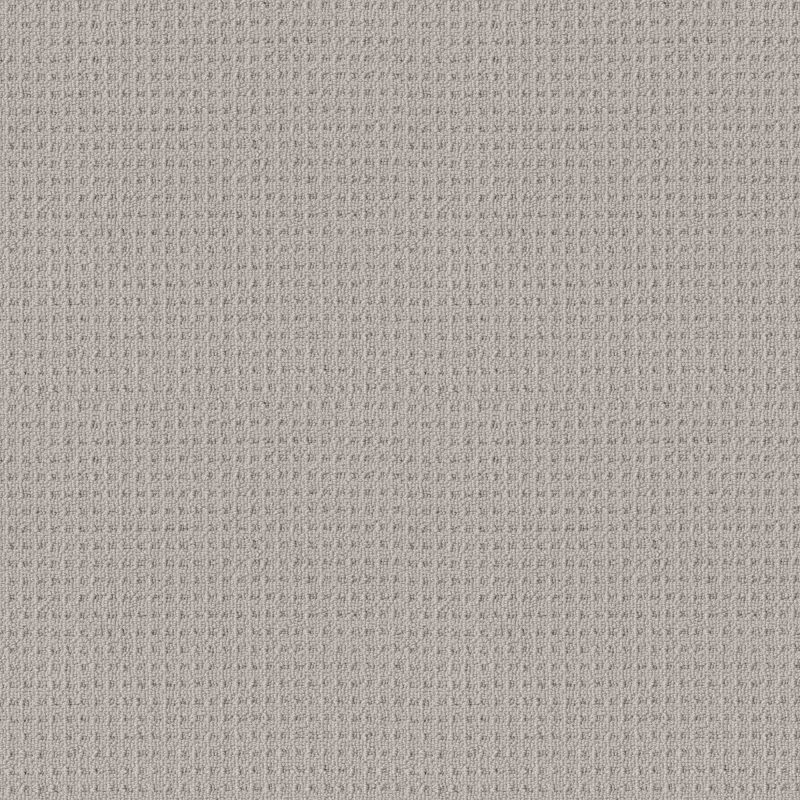 Shaw Floors Simply The Best Framed View Net Warm Greige