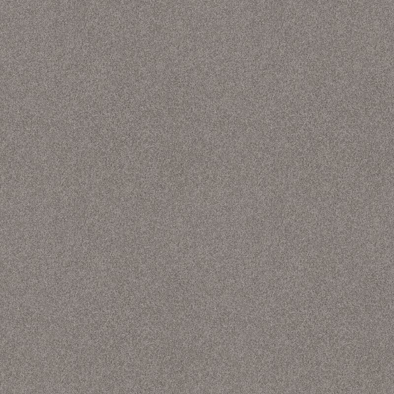 Shaw Floors Foundations Harmonious II Net Grey Fox