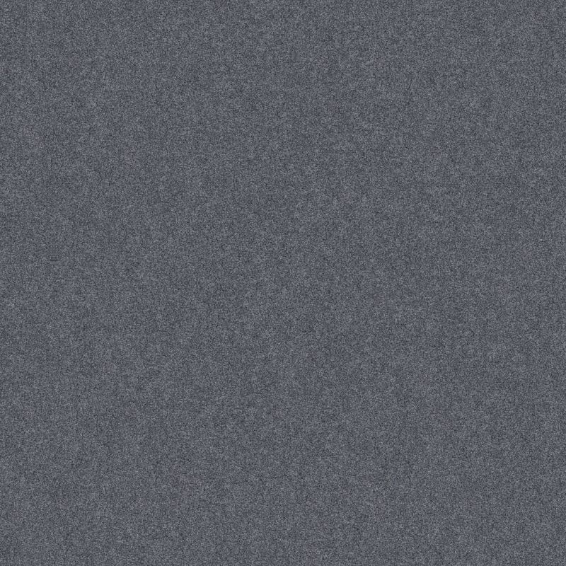 Shaw Floors Foundations Harmonious III Net Indigo Ink