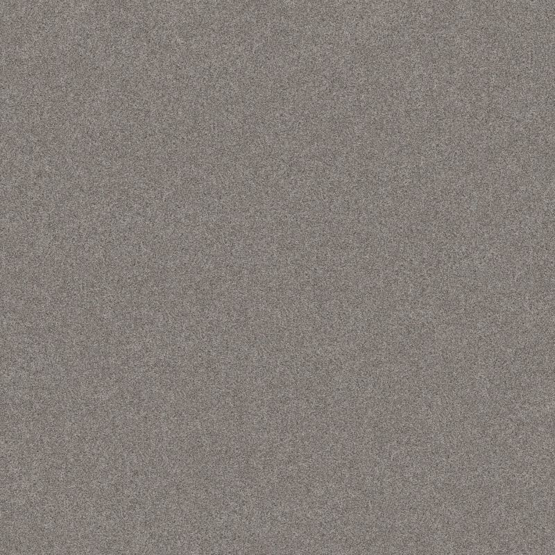 Shaw Floors Foundations Harmonious III Net Grey Fox