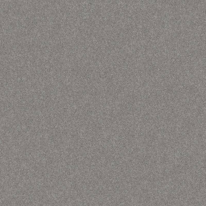 Shaw Floors Foundations Harmonious III Net Sentimental