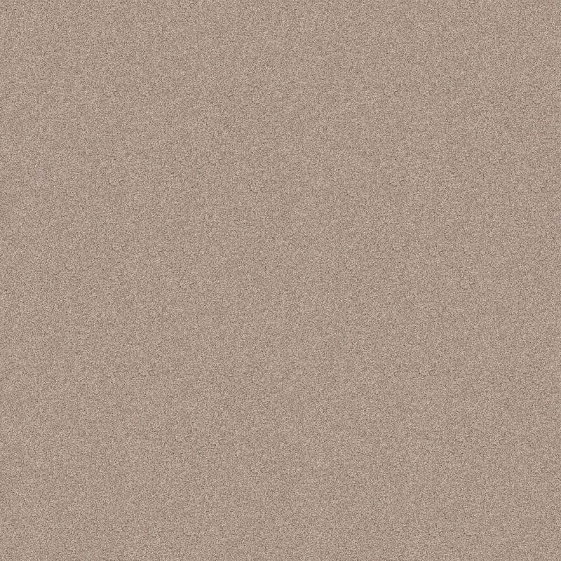 Shaw Floors Foundations Harmonious III Net Heirloom