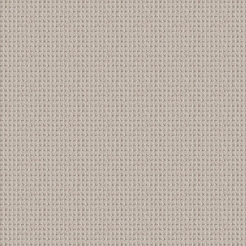 Shaw Floors Foundations Faint Intent Net Winters Dawn