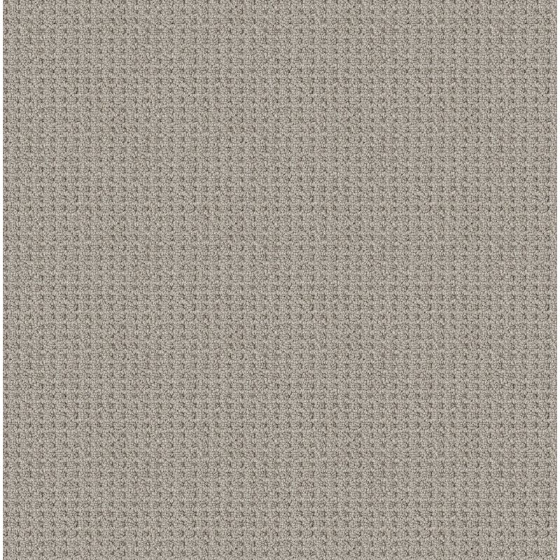 Shaw Floors Foundations Faint Intent Net Silver Lining