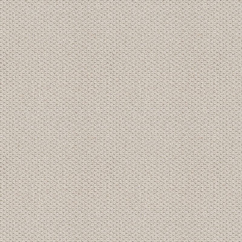 Shaw Floors Foundations Naturalistic Net Gallery Opening