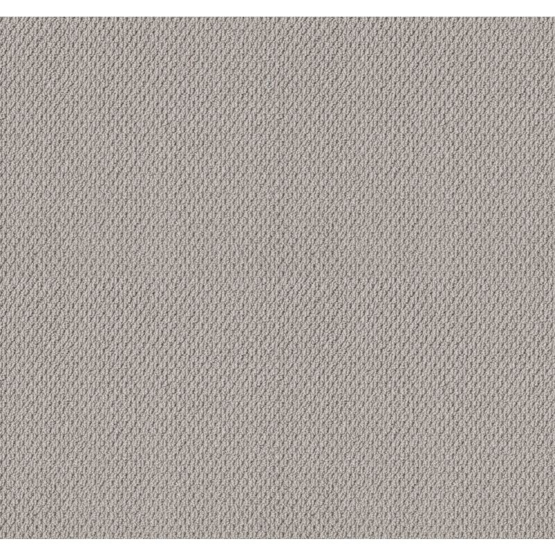 Shaw Floors Foundations Naturalistic Net Silver Lining