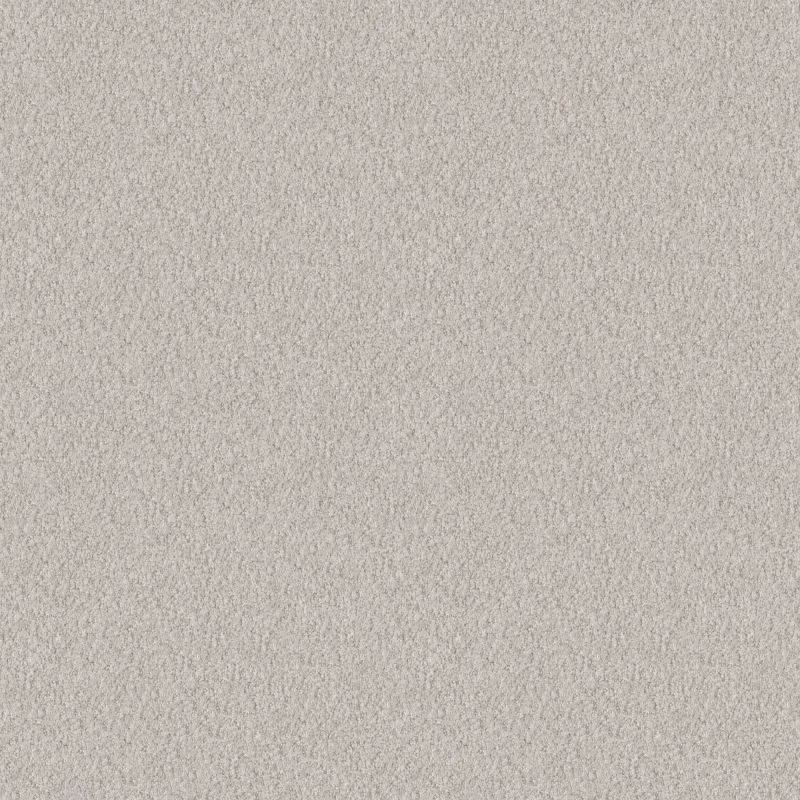 Shaw Floors Foundations Alluring Canvas Net Winters Dawn