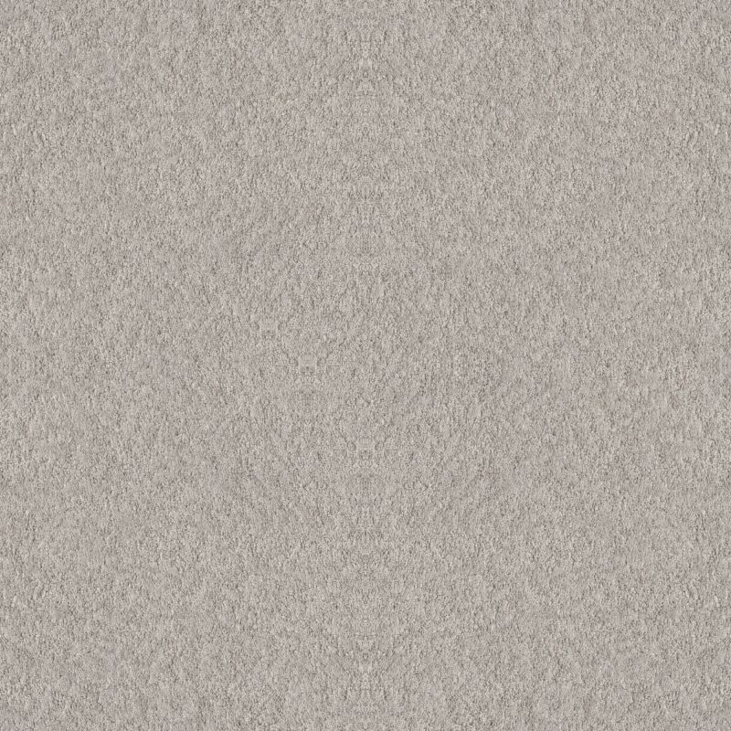 Shaw Floors Foundations Alluring Canvas Net Split Sediment