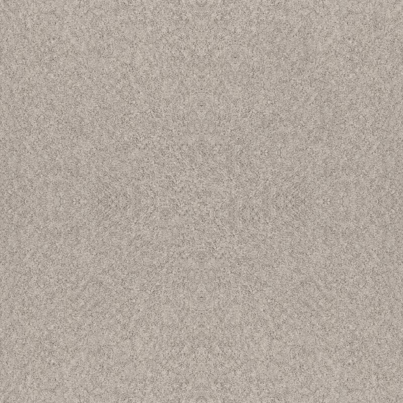 Shaw Floors Foundations Alluring Canvas Net Baltic Stone