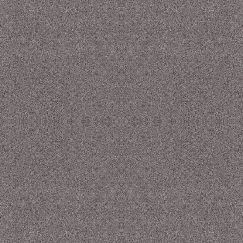 Shaw Floors Foundations Alluring Canvas Net Deep Connection