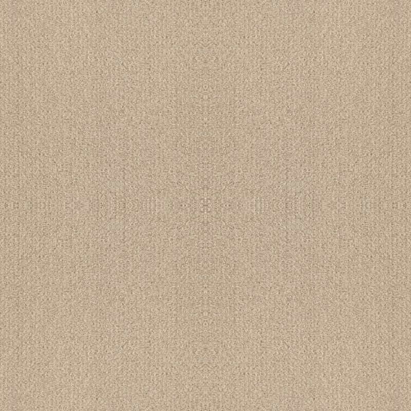 Shaw Floors Foundations Fine Tapestry Net Sun Kissed