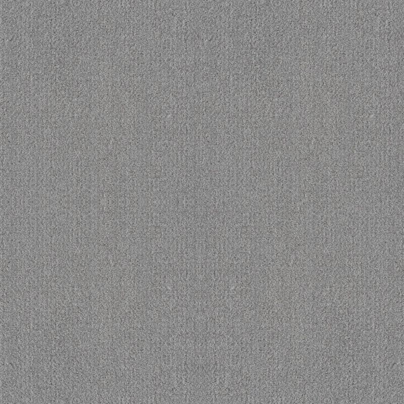 Shaw Floors Foundations Fine Tapestry Net Sentimental