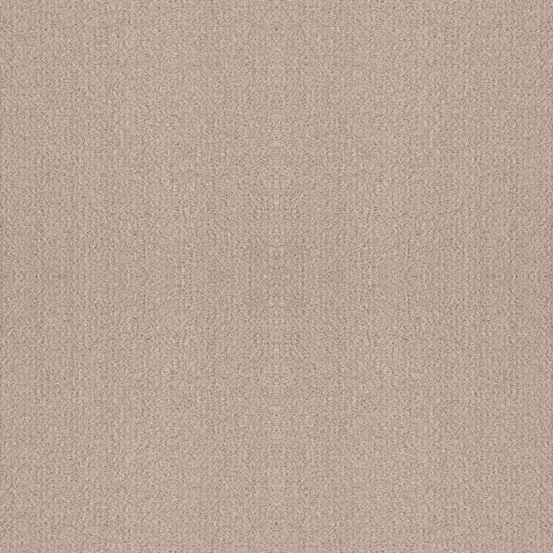 Shaw Floors Foundations Fine Tapestry Net Heirloom