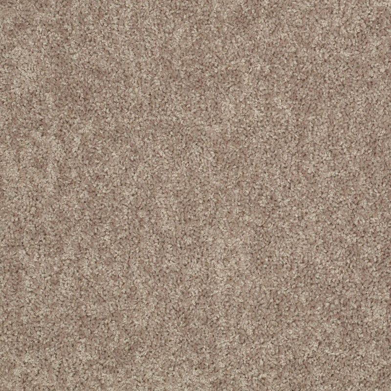 Shaw Floors Value Collections Take Away (s) Net Ridge