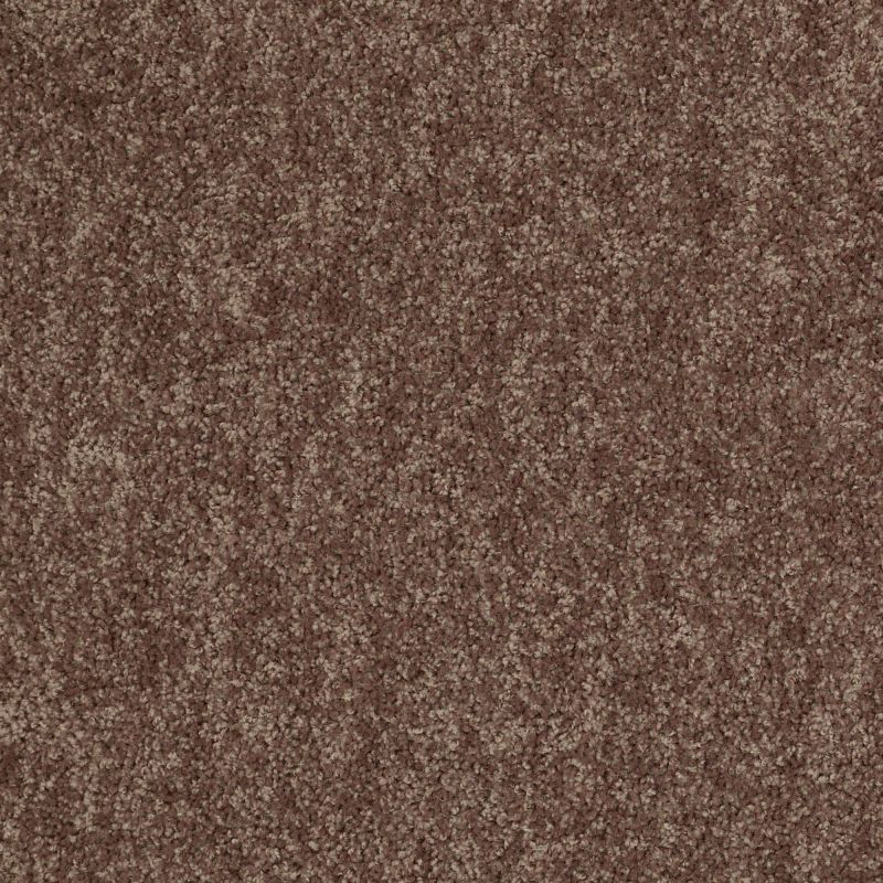 Shaw Floors Value Collections Take Away (s) Net Canoe