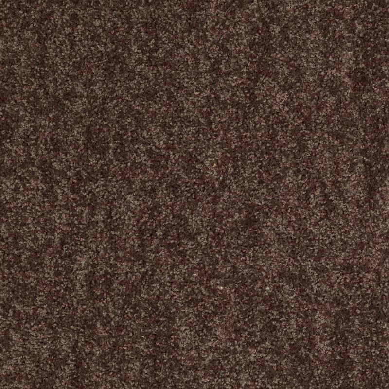 Shaw Floors Value Collections Take Away (s) Net Mocha