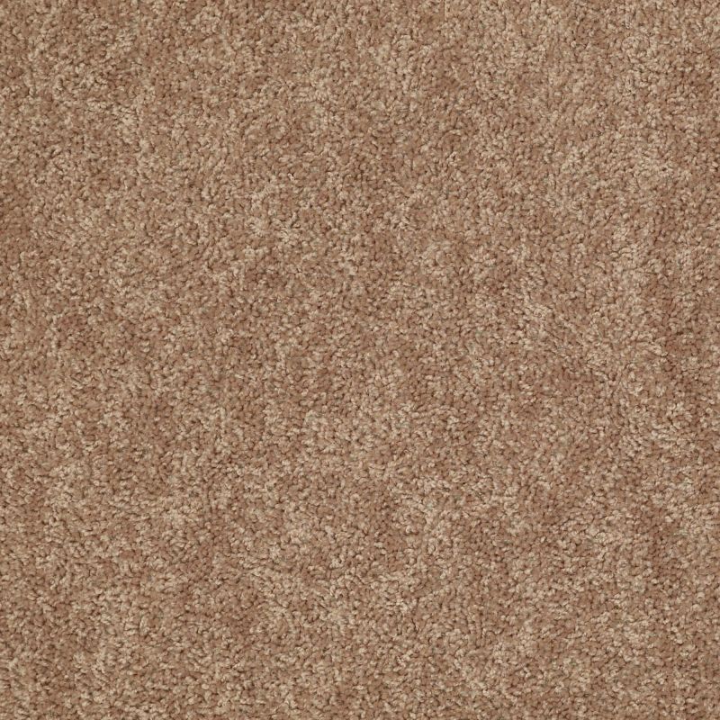 Shaw Floors Value Collections Take Away (s) Net Dakota