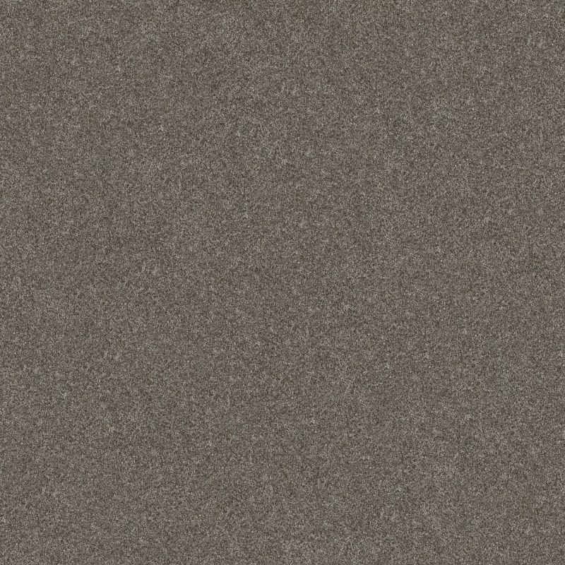 Shaw Floors Simply The Best Without Limits I Organic