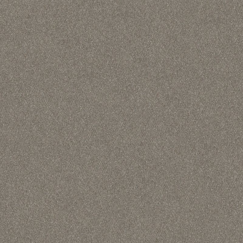 Shaw Floors Simply The Best Without Limits II Abalone