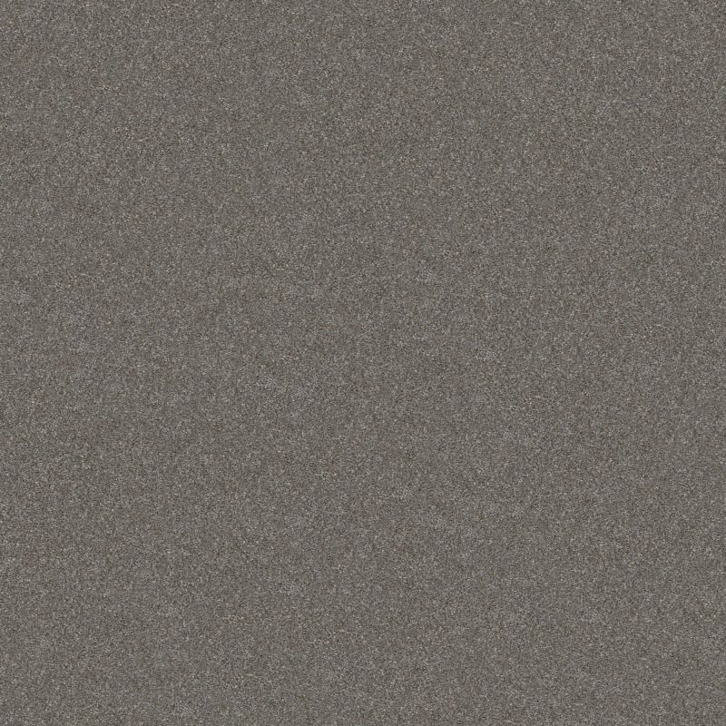 Shaw Floors Simply The Best Without Limits II Tundra