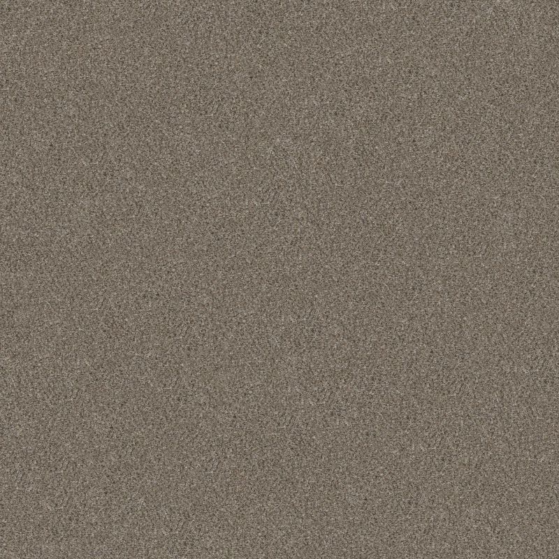 Shaw Floors Simply The Best Without Limits III Saddle Tan