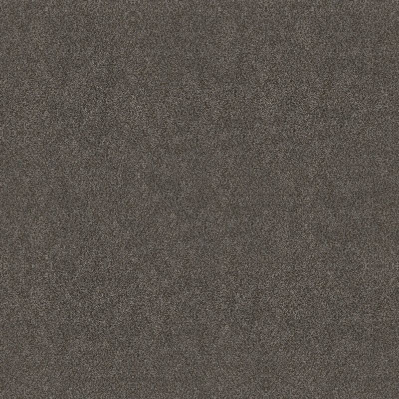 Shaw Floors Simply The Best Boundless I Shadow