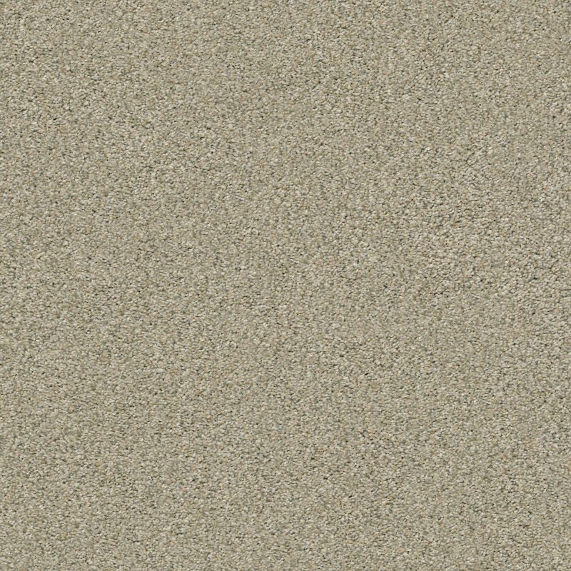 Shaw Floors Simply The Best Boundless II Morning Light