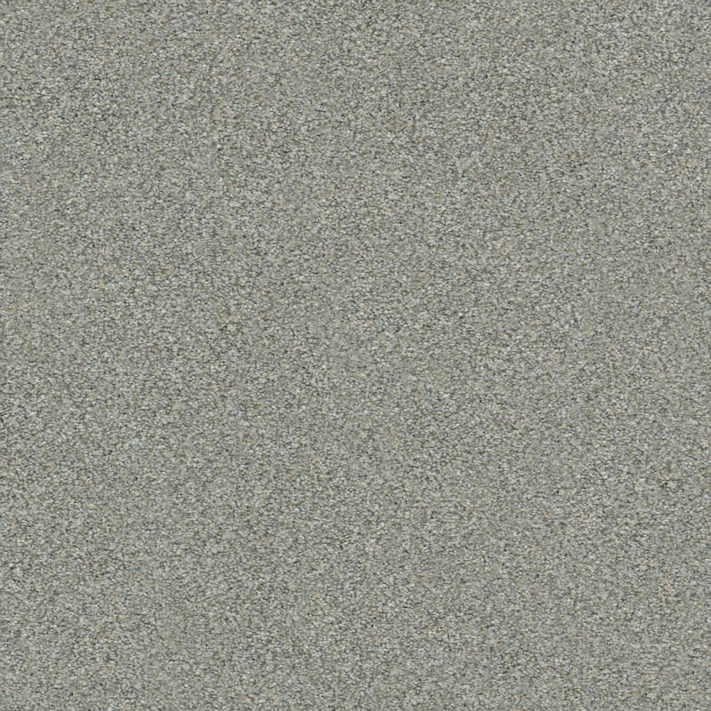 Shaw Floors Simply The Best Boundless III Distant Star