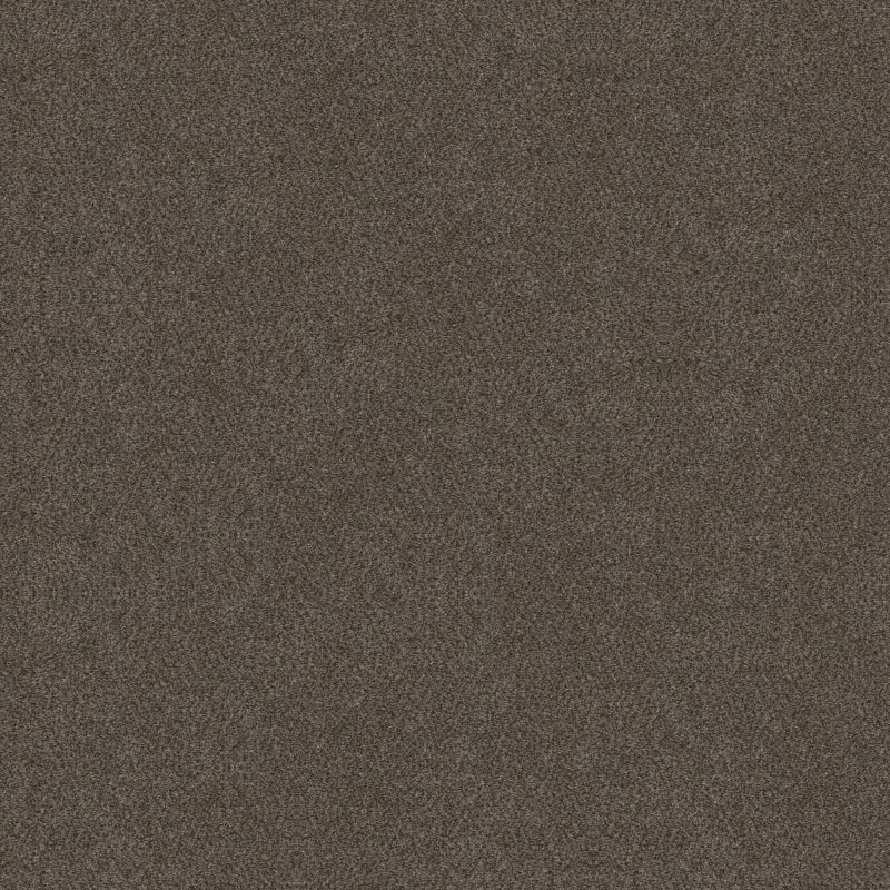 Shaw Floors Simply The Best Boundless III Gateway