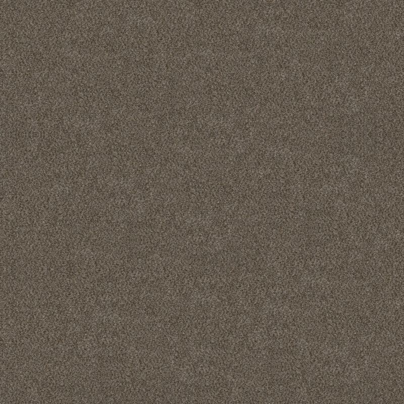 Shaw Floors Simply The Best Boundless Iv Woodcraft