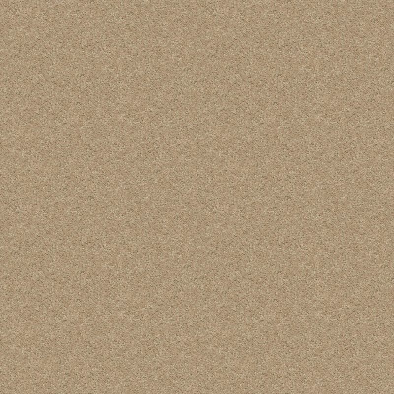 Shaw Floors Shaw Design Center Royal Portrush 1 12 Net Flax Seed