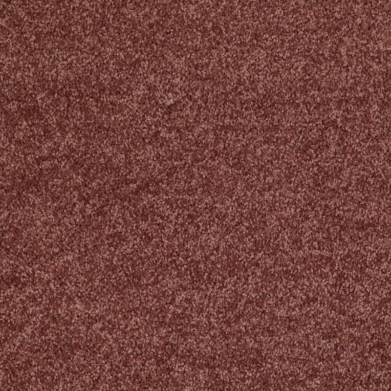 Shaw Floors Shaw Design Center Royal Portrush 1 12 Net Flower Pot