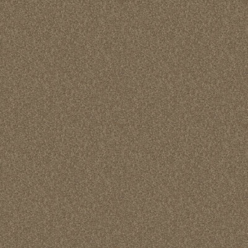 Shaw Floors Shaw Design Center Royal Portrush 1 12 Net Hearth Stone