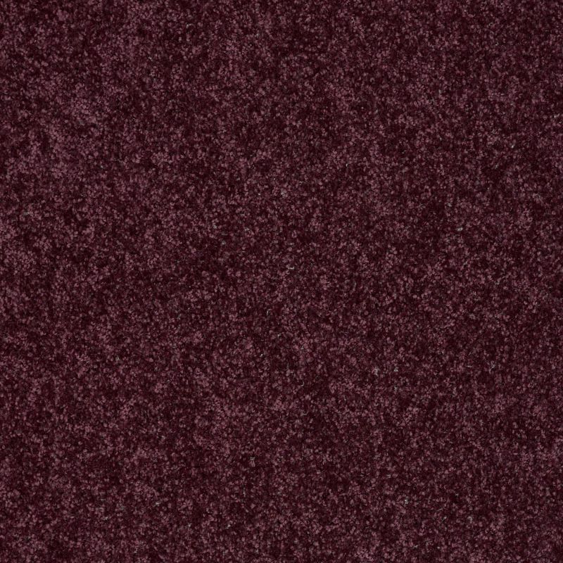 Shaw Floors Shaw Design Center Royal Portrush 1 12 Net Royal Purple