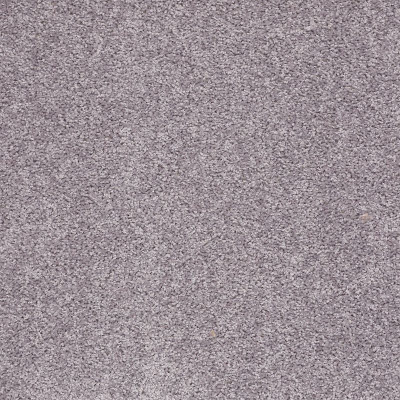Shaw Floors Shaw Design Center Royal Portrush 1 15 Net Ink Spot