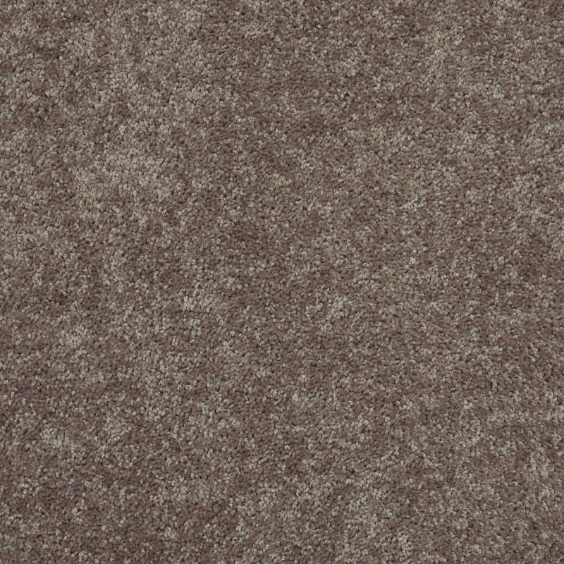 Shaw Floors Shaw Design Center Royal Portrush 1 15 Net Driftwood