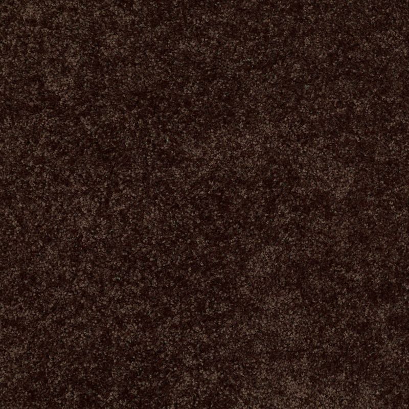 Shaw Floors Shaw Design Center Royal Portrush 1 15 Net Coffee Bean