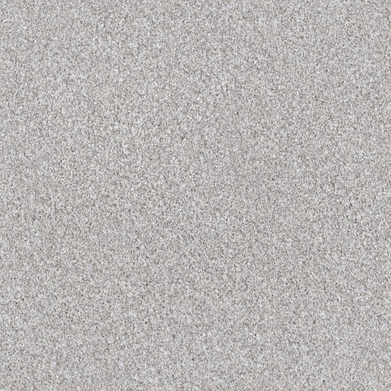 Shaw Floors Pet Perfect Influencer Net Silver Lining