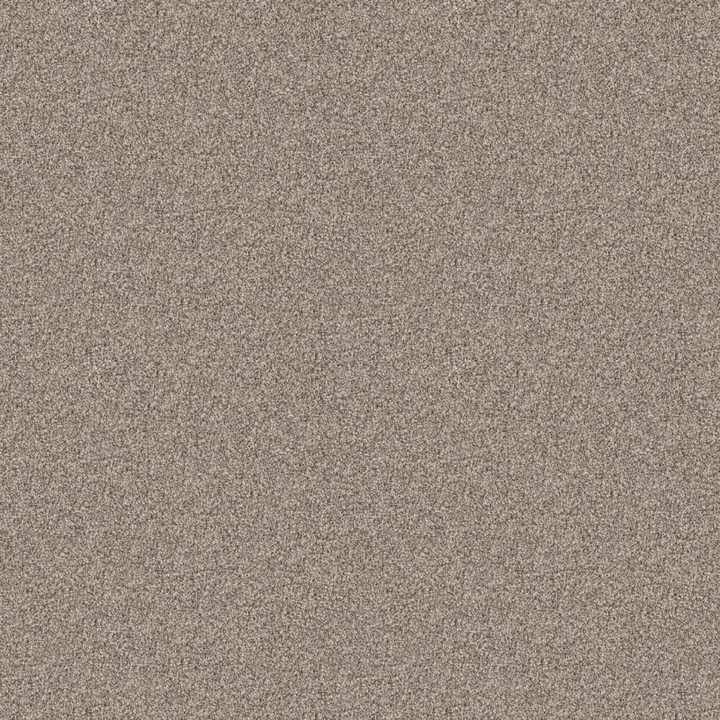 Shaw Floors Pet Perfect Influencer Net Sandstone