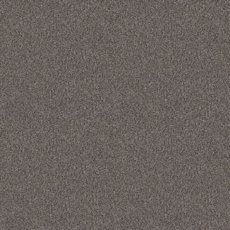 Shaw Floors Pet Perfect Influencer Net Desert View