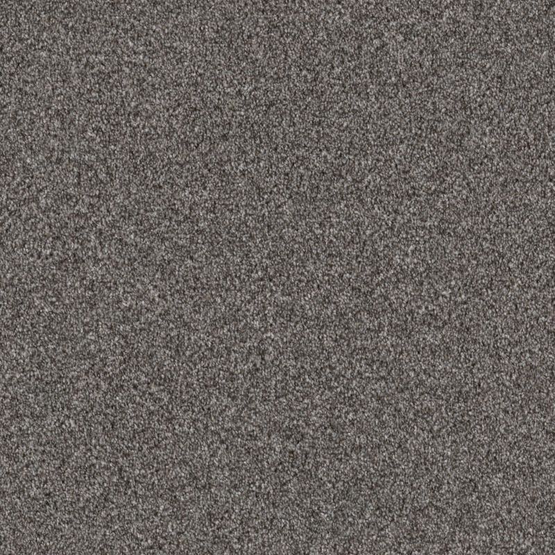 Shaw Floors Pet Perfect Influencer Net Sentimental