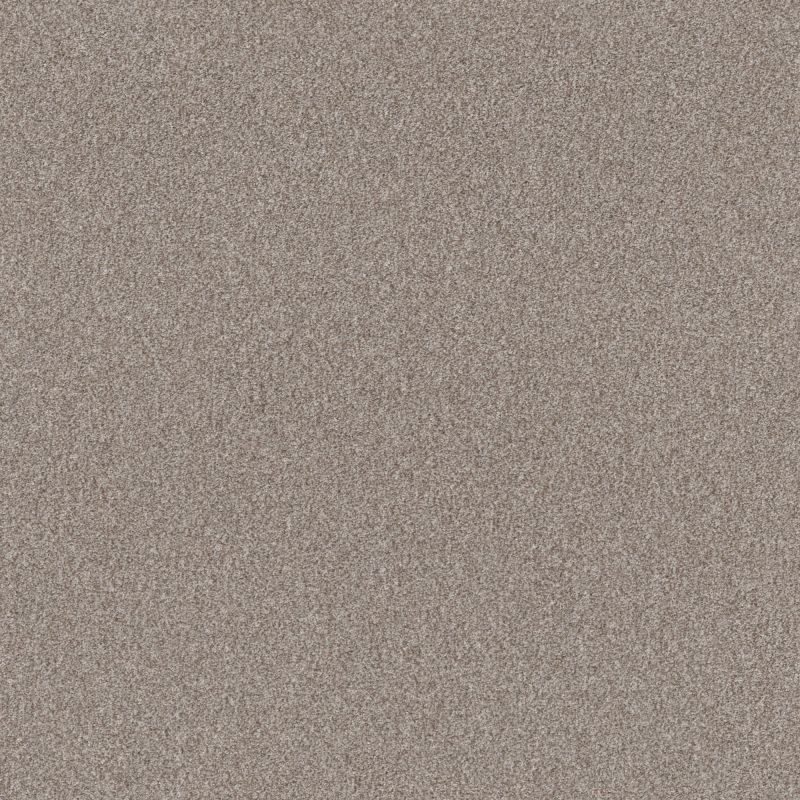 Shaw Floors Pet Perfect Influencer Net Baltic Stone