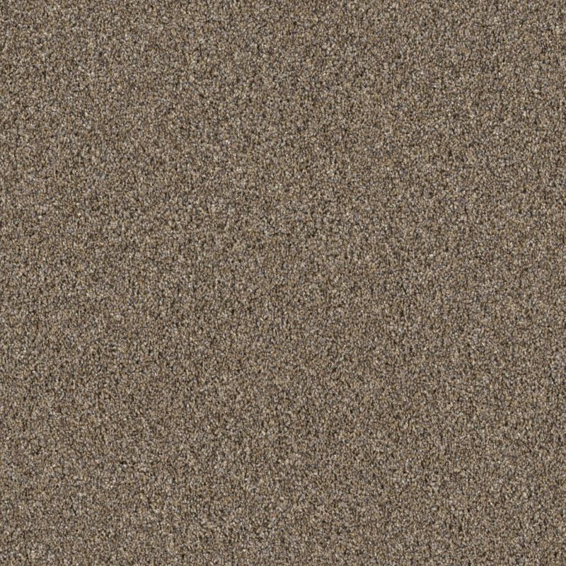 Shaw Floors Pet Perfect Grandiose Net Raw Wood