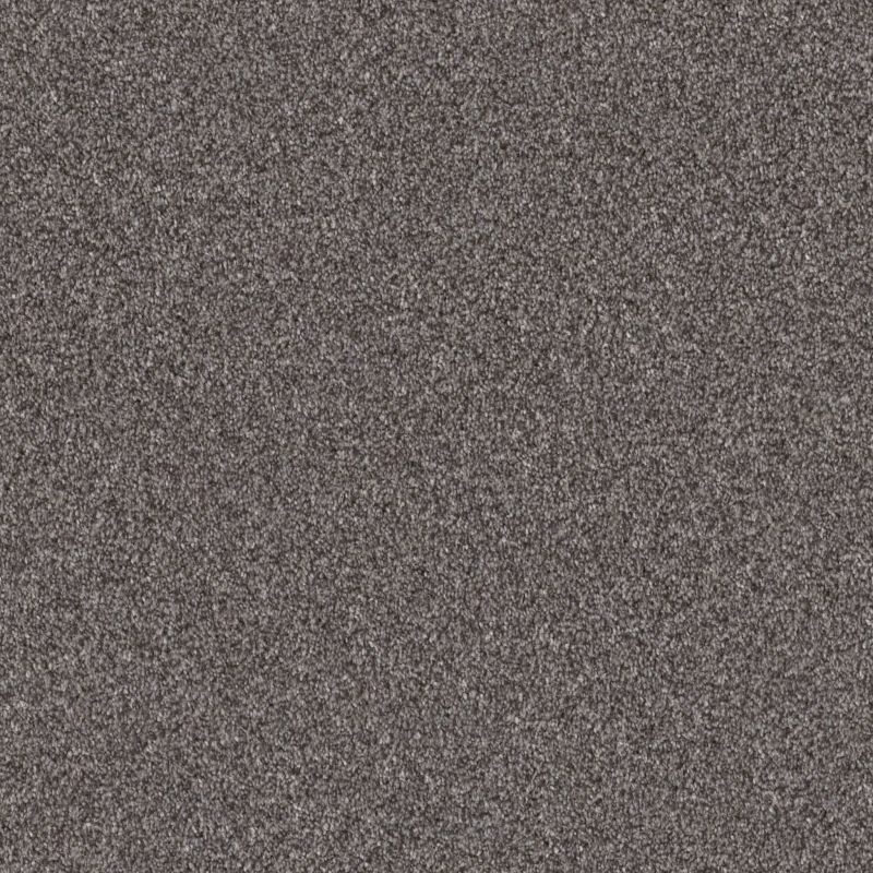 Shaw Floors Pet Perfect Grandiose Net Sentimental