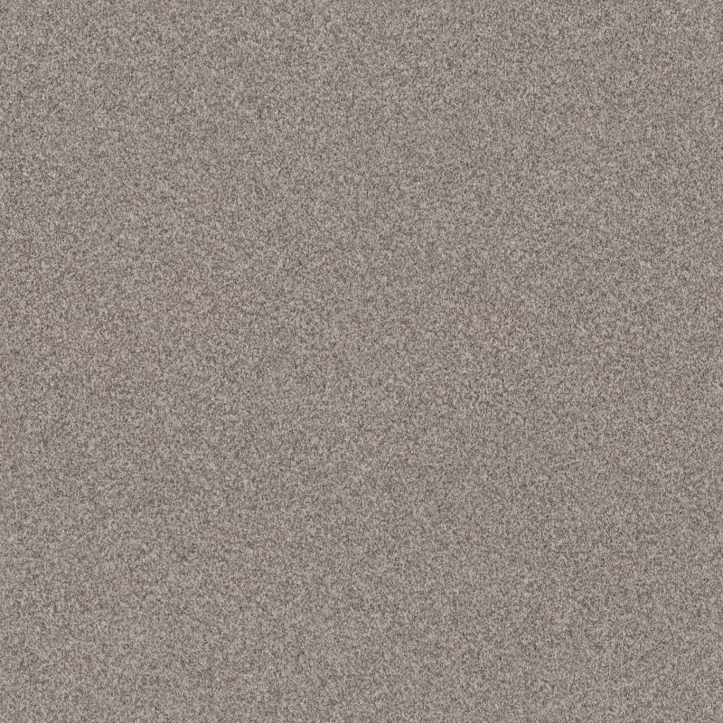 Shaw Floors Pet Perfect Grandiose Net River Run