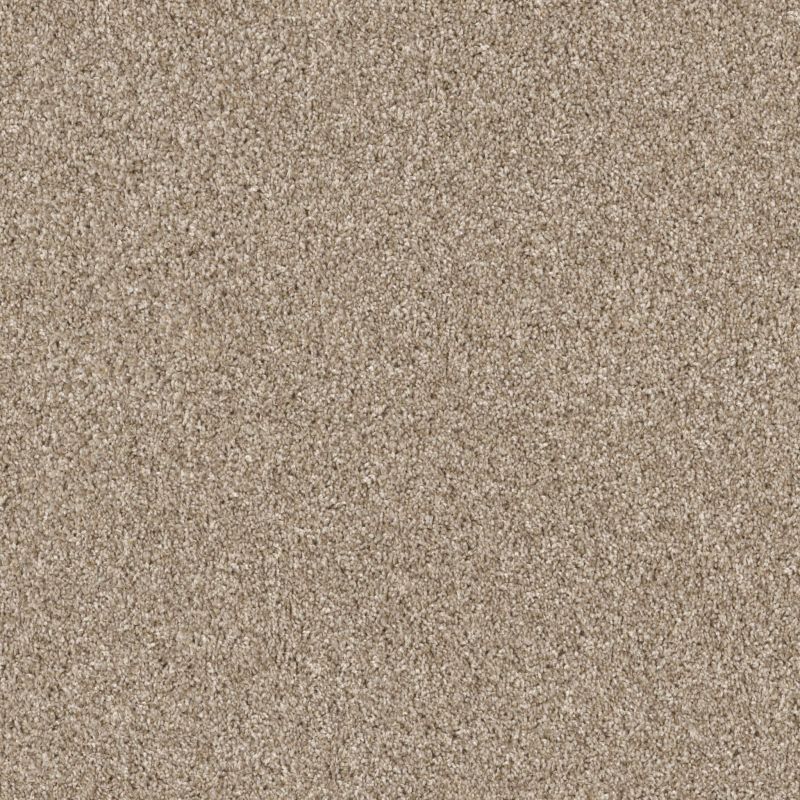Shaw Floors Pet Perfect Grandiose Net Sunkissed