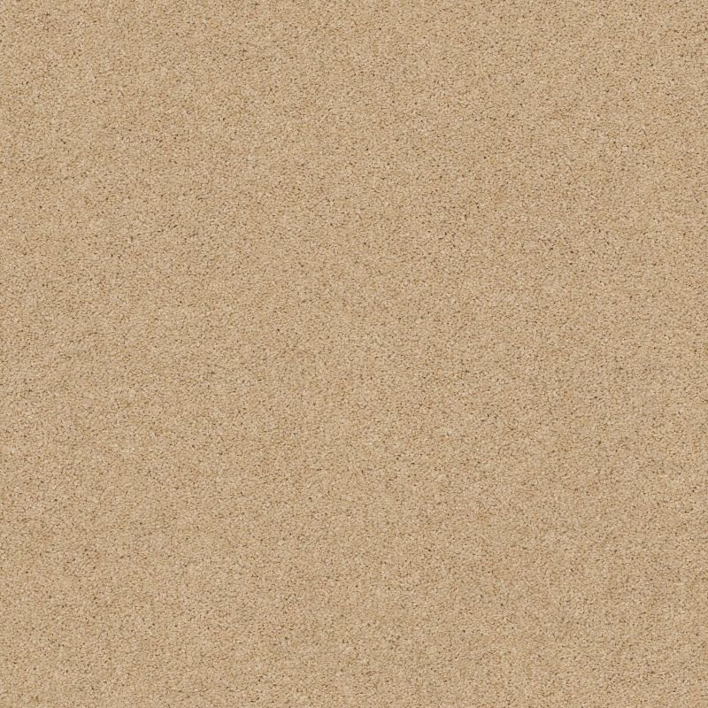 Shaw Floors Caress By Shaw Cashmere Classic II Net Manilla